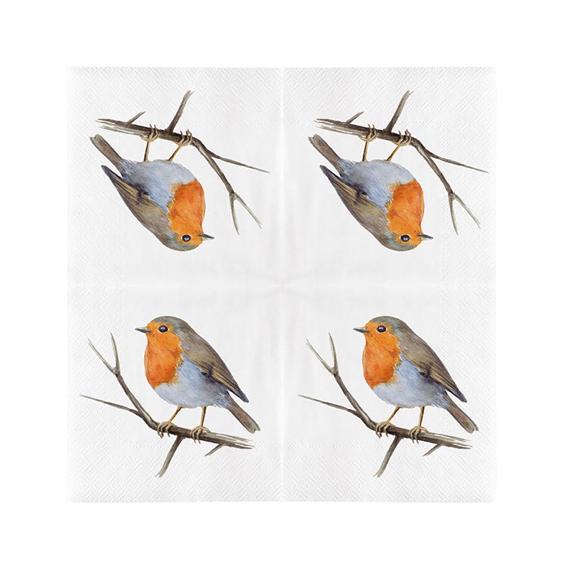 Paper Napkins Europ. Robin 33X33cm