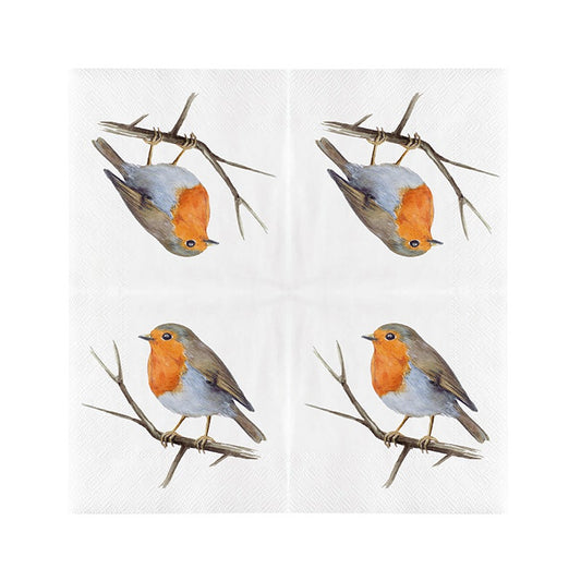 Paper Napkins Europ. Robin 33X33cm