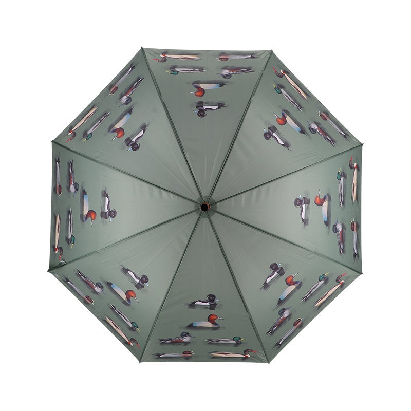 Umbrella Duck Breeds