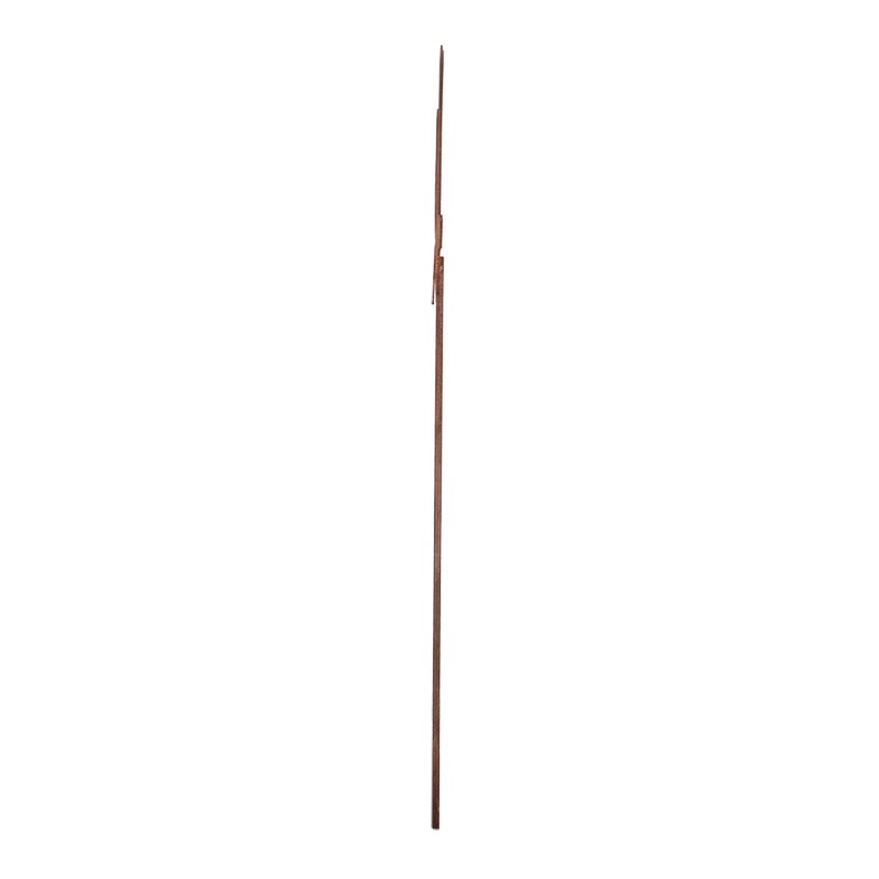 Rust Dragonfly