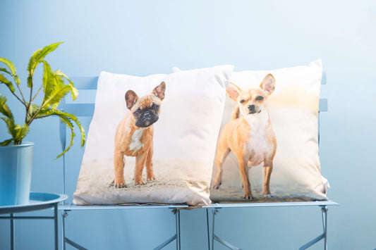 Coussin d'extérieur imprimé chien S