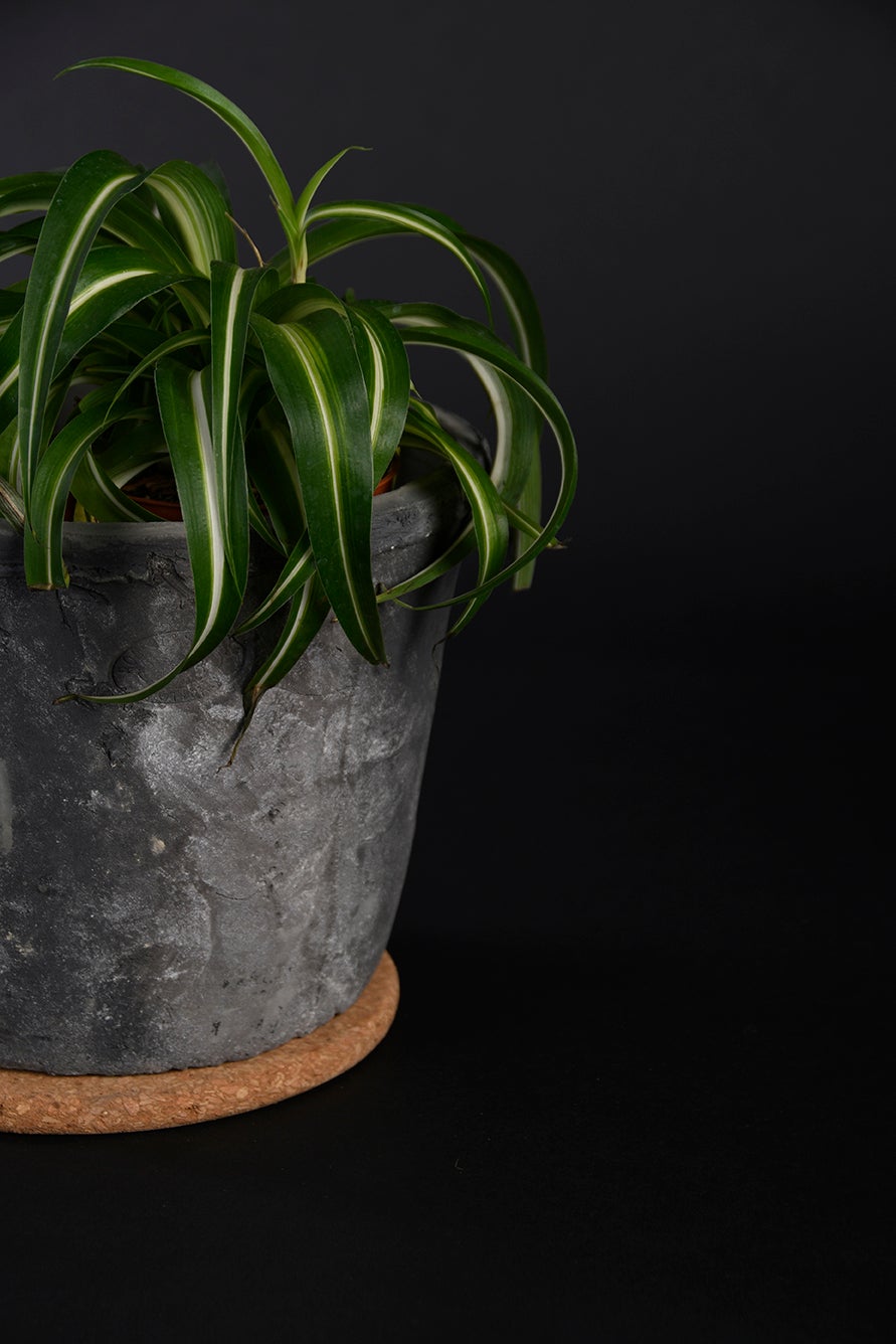 Cork Saucer XL