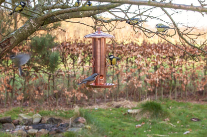 Copperplated  Seed Feeder, Excl. Bird Food