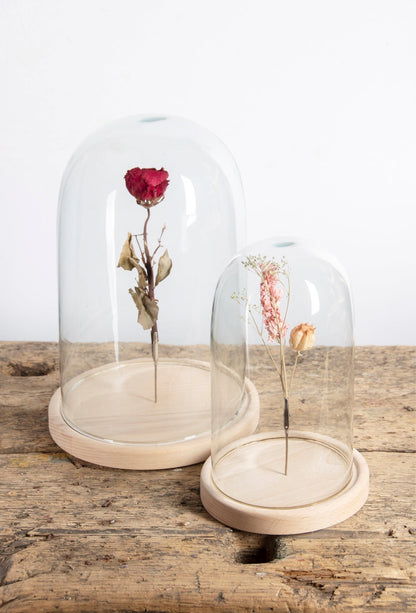 Cloche En Verre Sur Socle En Bois L