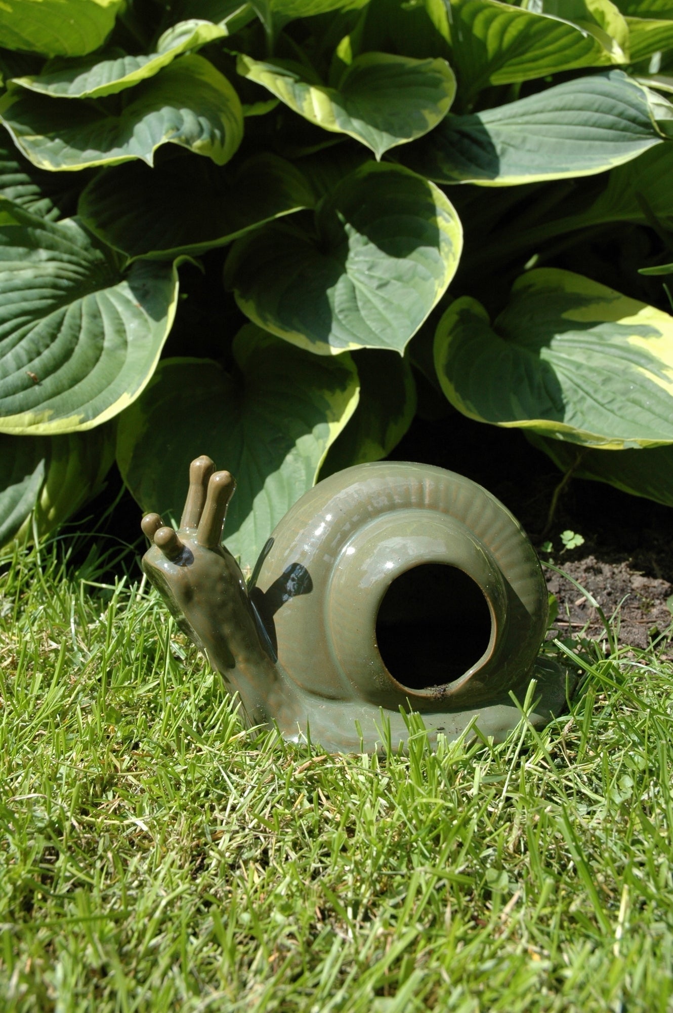 Escargot Slugtrap