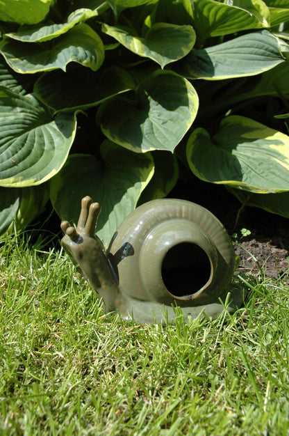 Escargot Slugtrap
