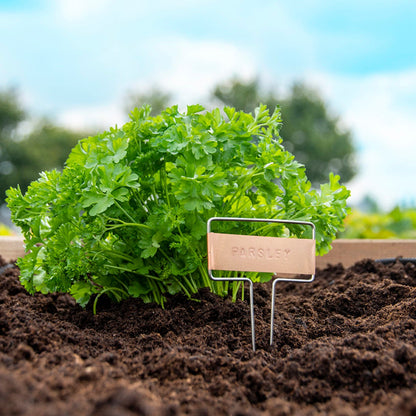 Ensemble d'étiquettes de plantes bricolage