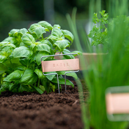 Ensemble d'étiquettes de plantes bricolage