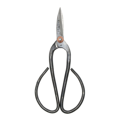 Bonsai Shears L