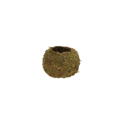 Kokedama Ball S