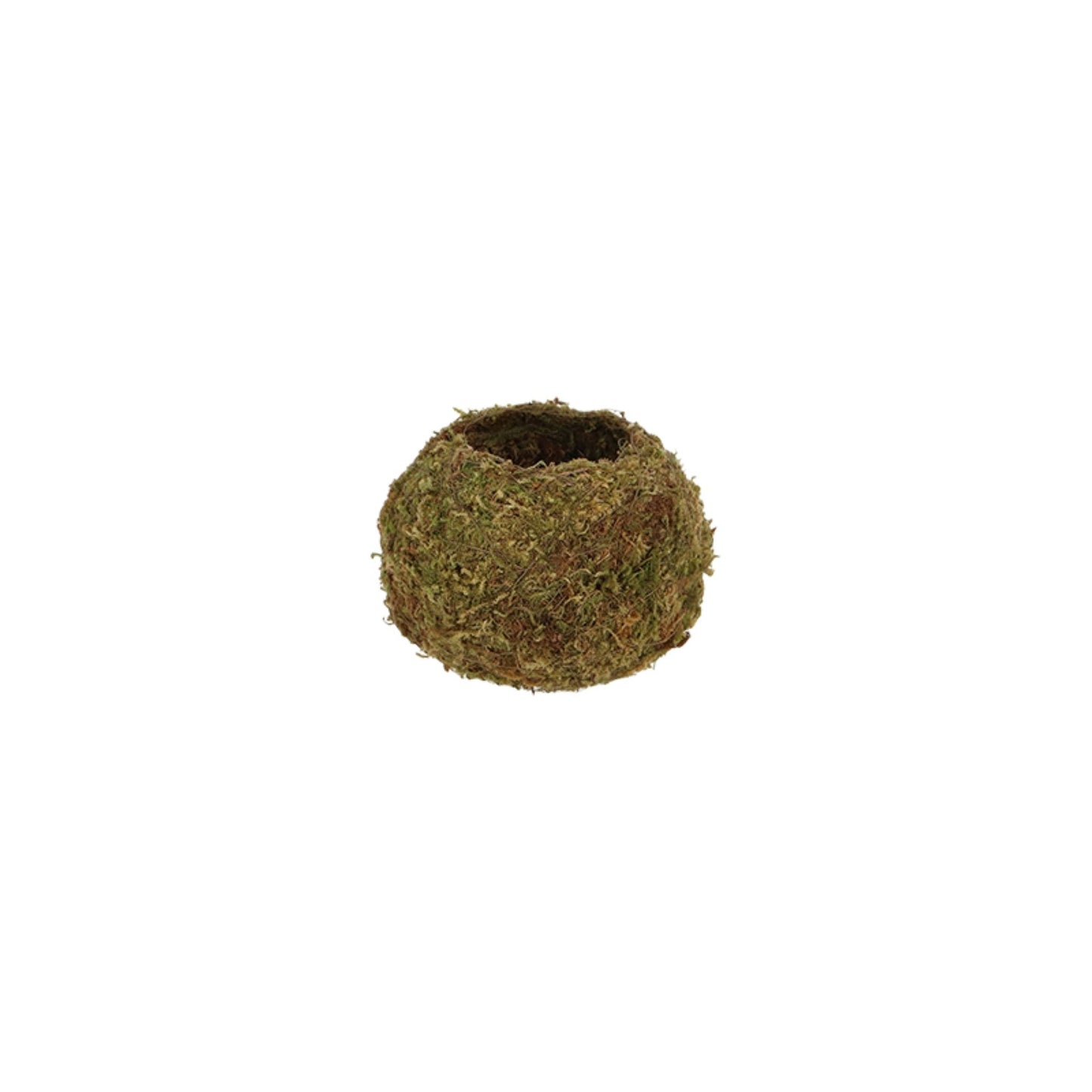 Kokedama Ball S