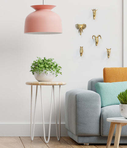 Safari Wall Hook (MM-2590G)