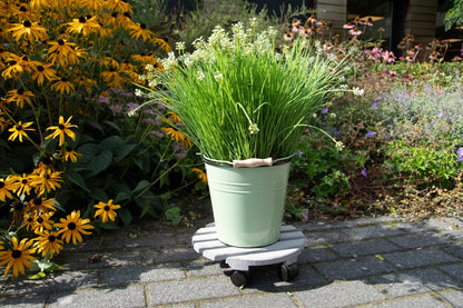 Chariot à Plantes Rond L