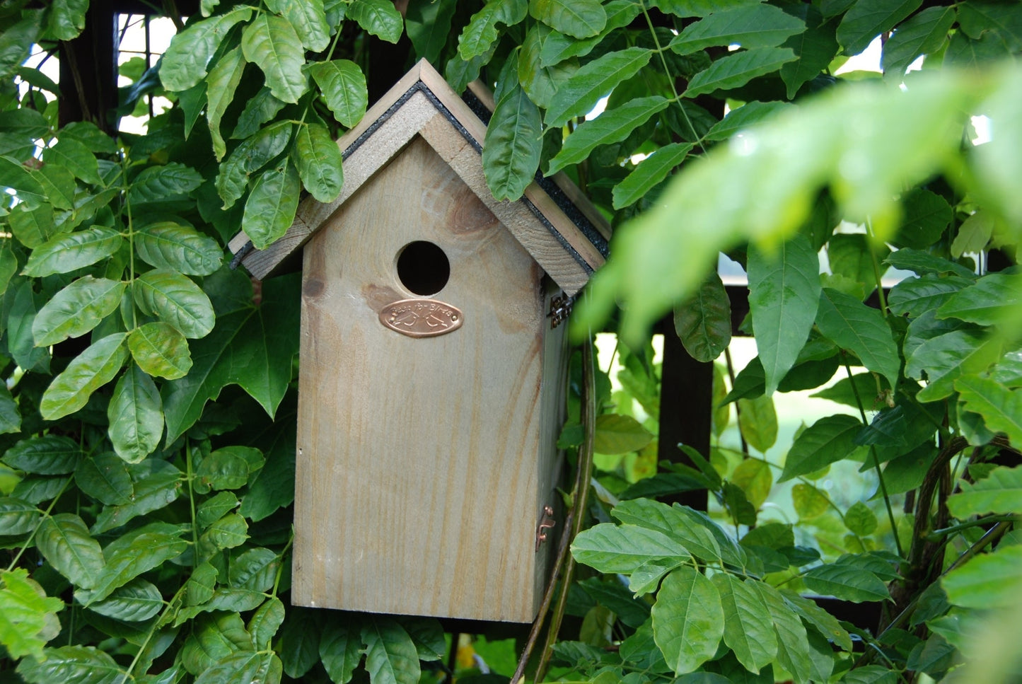Nest Box Blue Tit Bitumen Roof