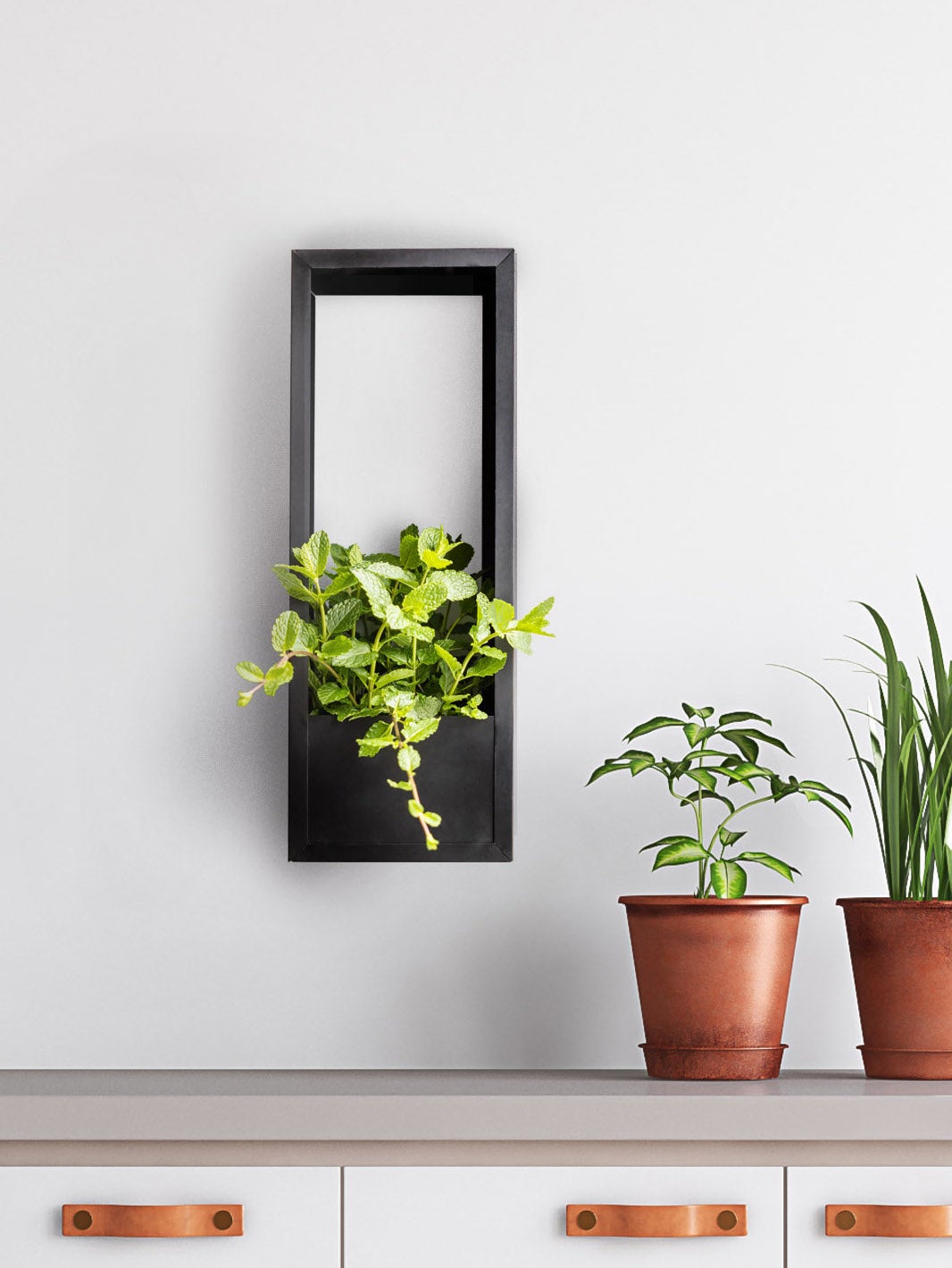 Mur Cadre Plantes Vertical S