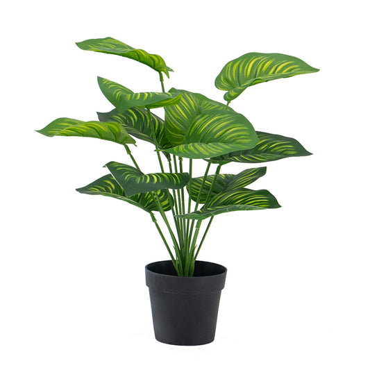 Artificial Calathea Fasciata Plant In Pot
