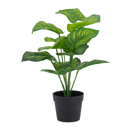 Plante artificielle Calathea Fasciata en pot