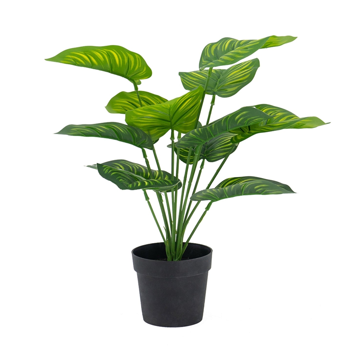 Plante artificielle Calathea Fasciata en pot