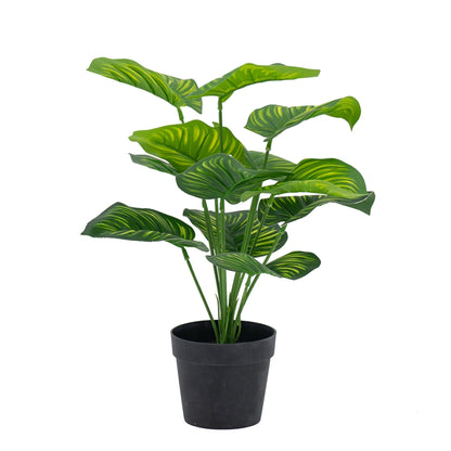 Plante artificielle Calathea Fasciata en pot
