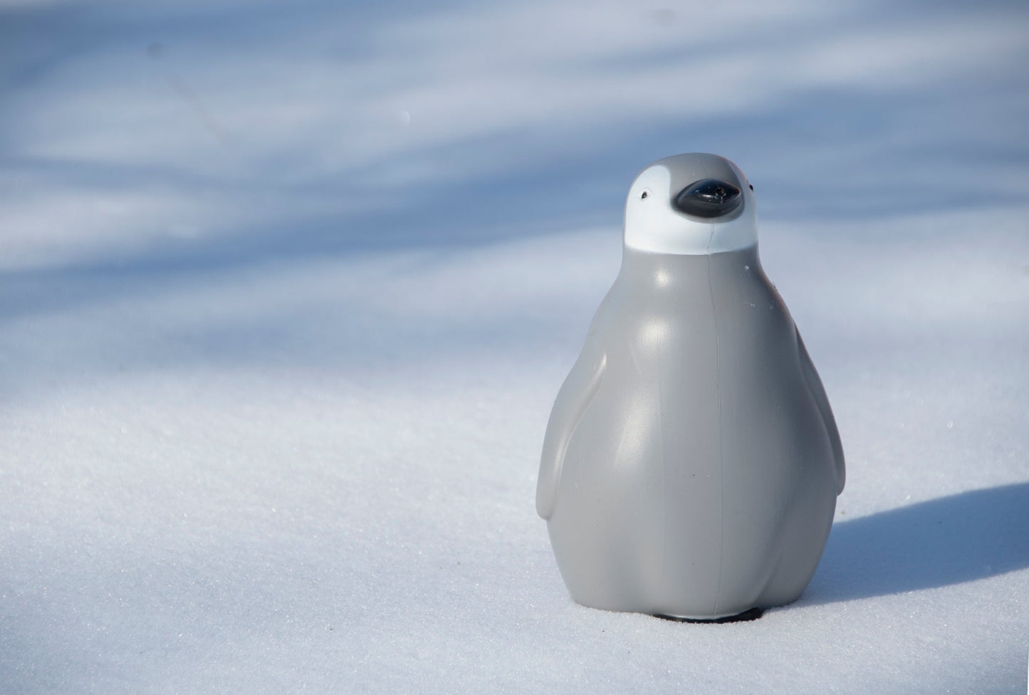 Watering Can Penguin