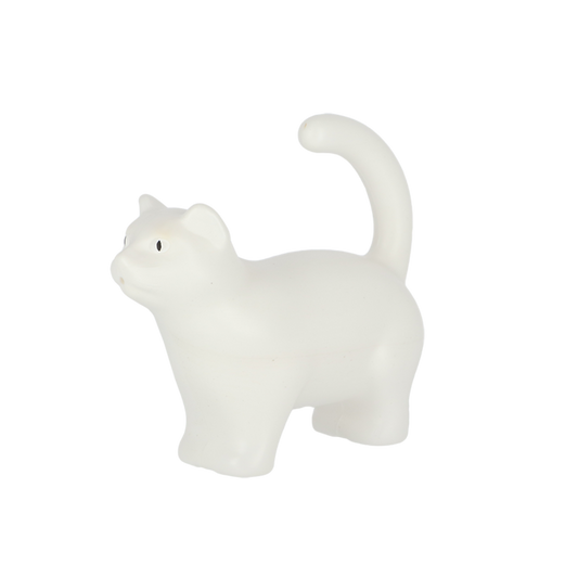 Watering Can Cat S ~ Assorted