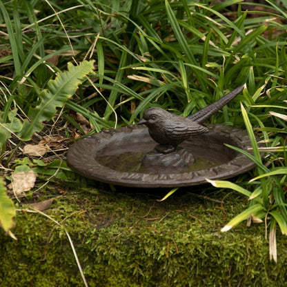 Cadran solaire et bain d'oiseau