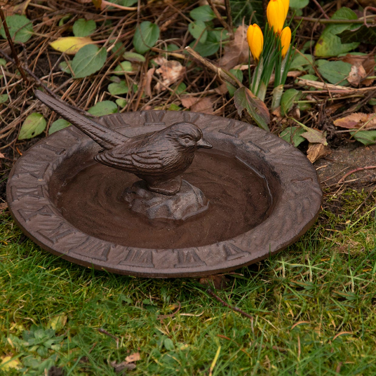 Cadran solaire et bain d'oiseau