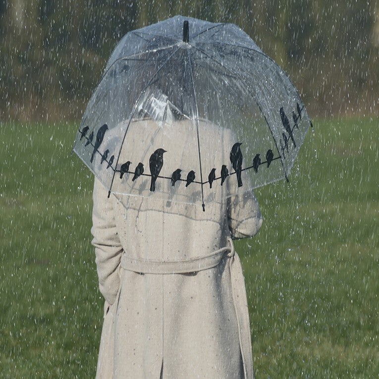 Umbrella Transparent Birds On Wire