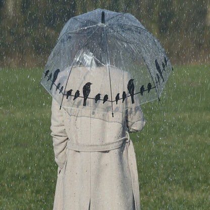 Umbrella Transparent Birds On Wire