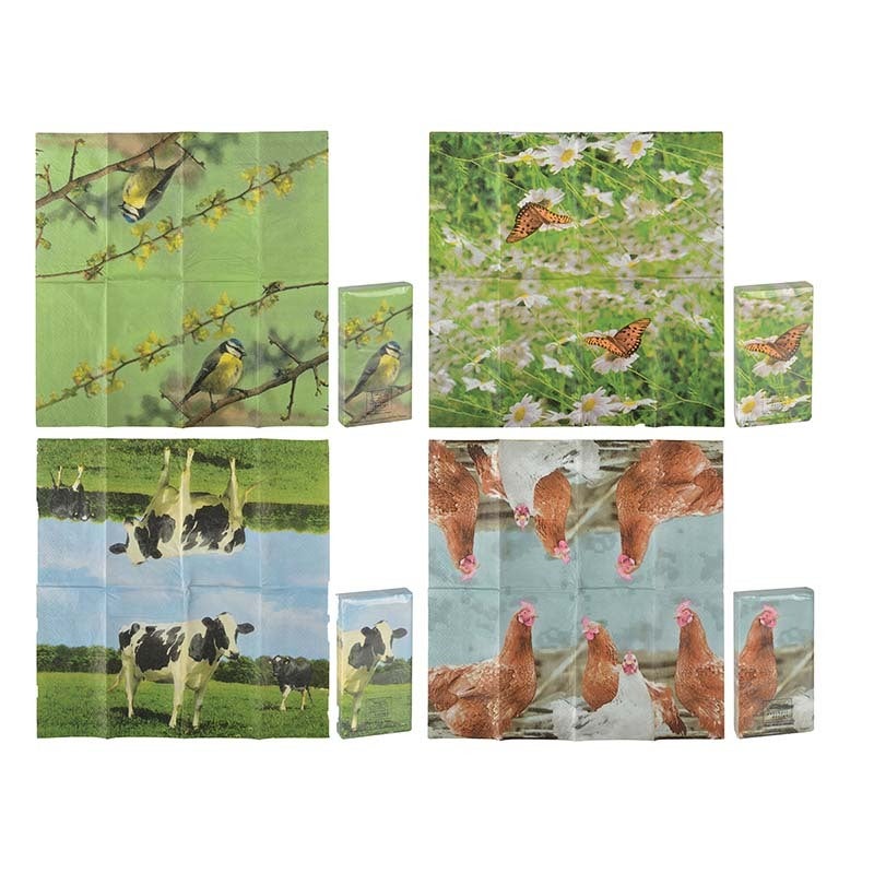 Assortiment de mouchoirs Nature Print