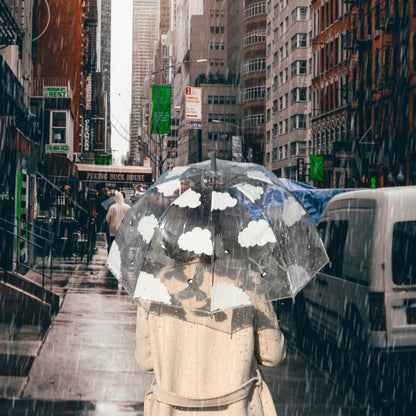 Parapluie Transparent 2 Faces Oiseaux