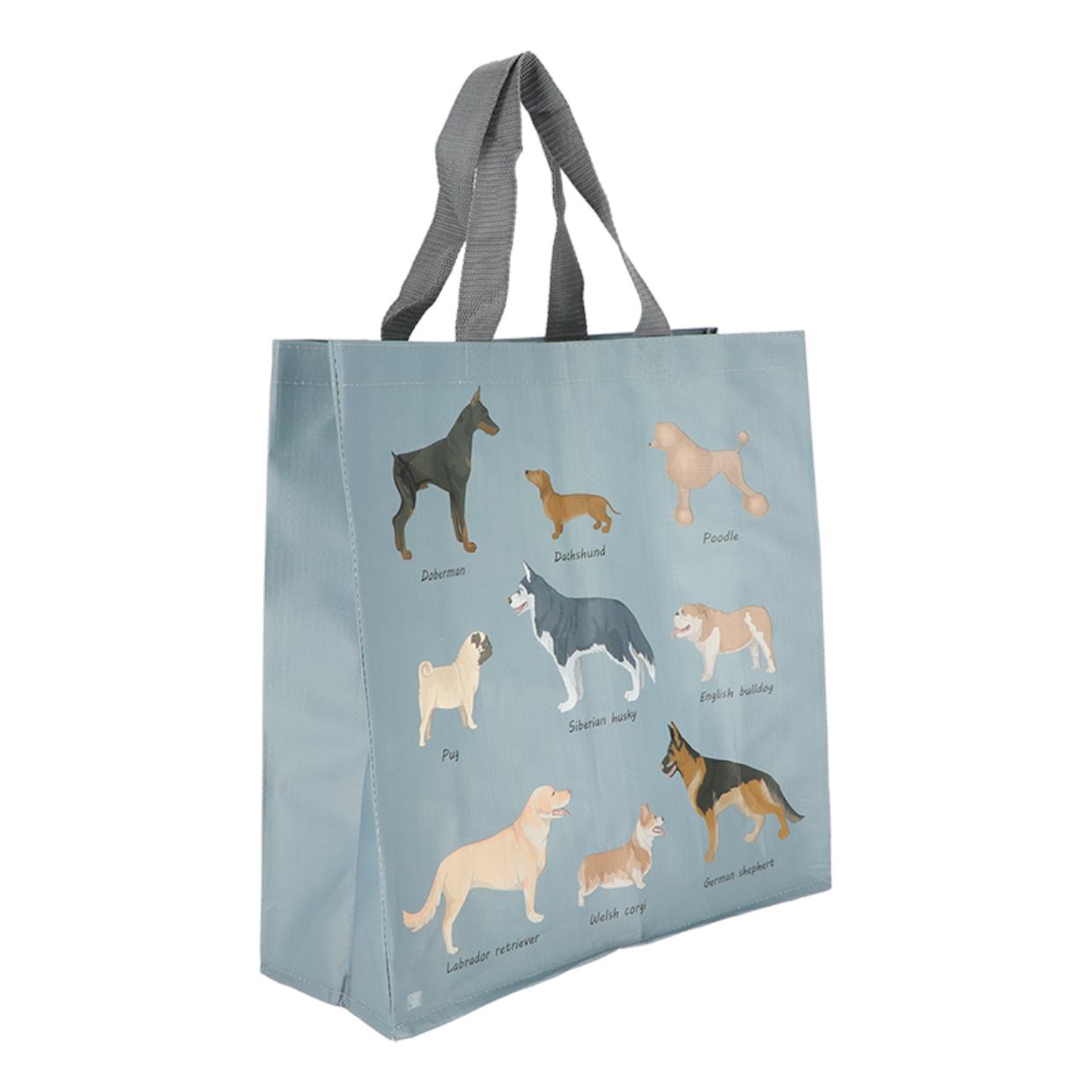 Races de chiens