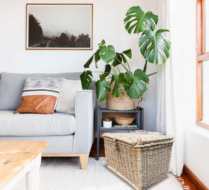 Large Antique French Baskets With Lid