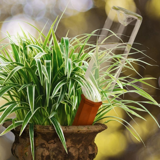 Plant Waterer Spike For Winebottle