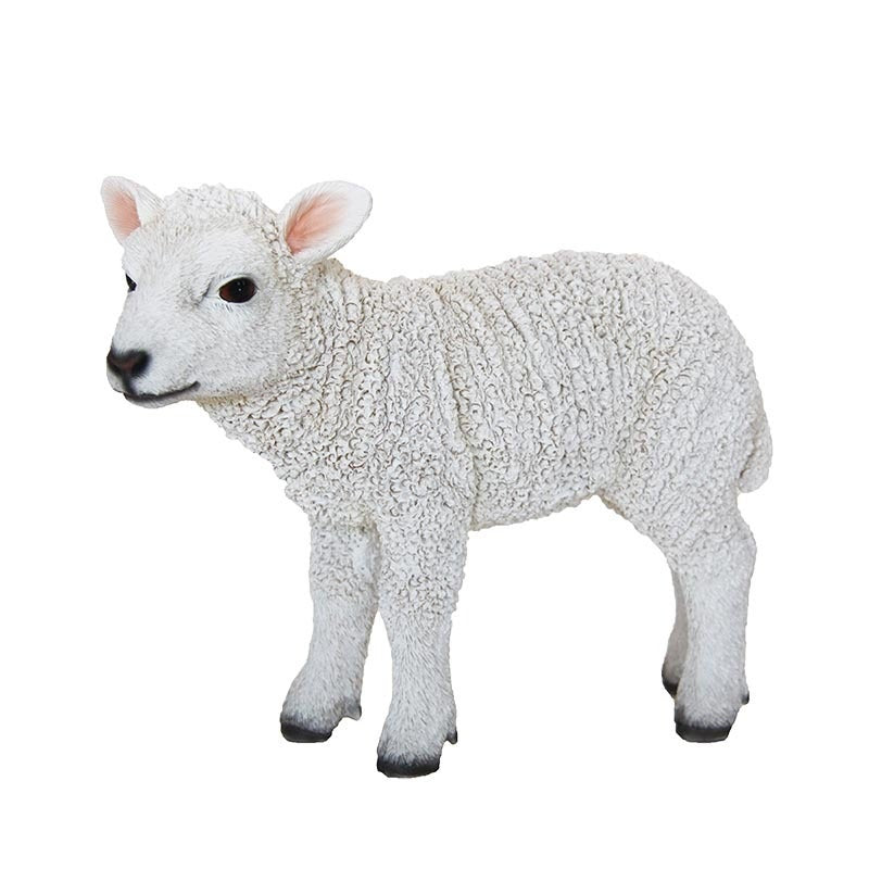 Standing Lamb S