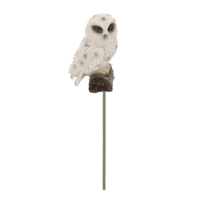 Owl On Pole