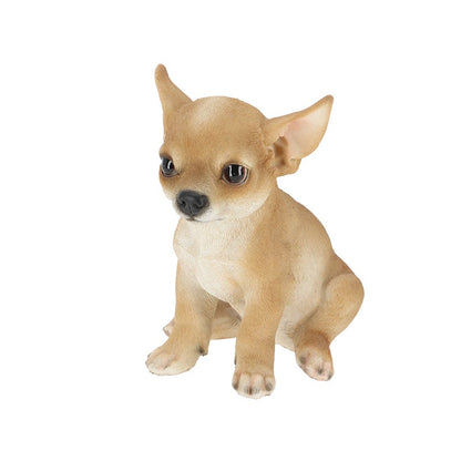 Chiot Chihuahua assis