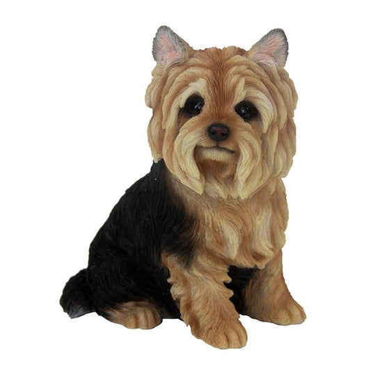 Yorkshire Terrier assis