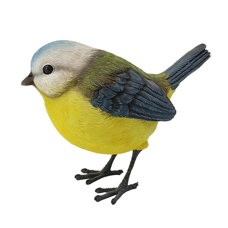 Blue Tit