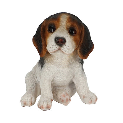 Chiot Beagle