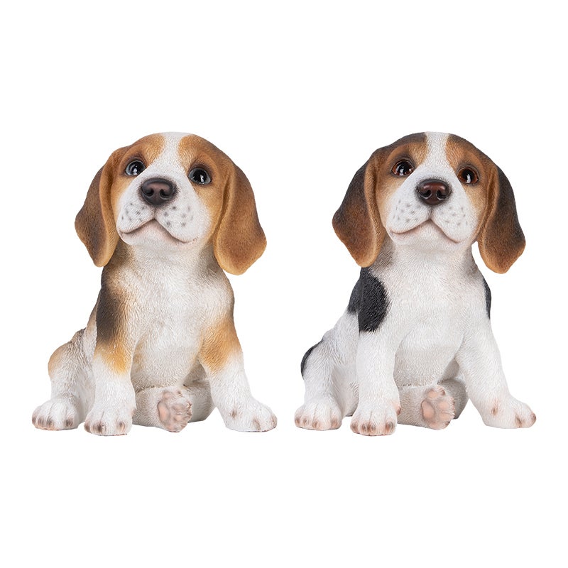 Chiot Beagle