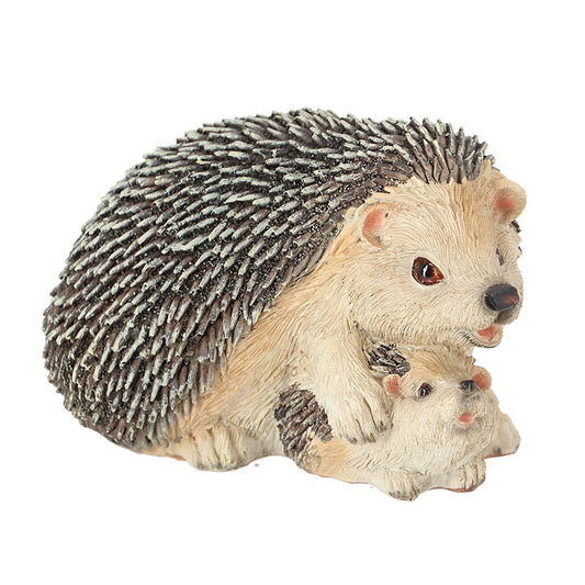 Hedgehog With Baby