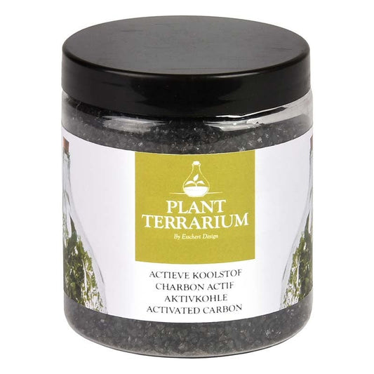 Charbon actif pour terrarium végétal