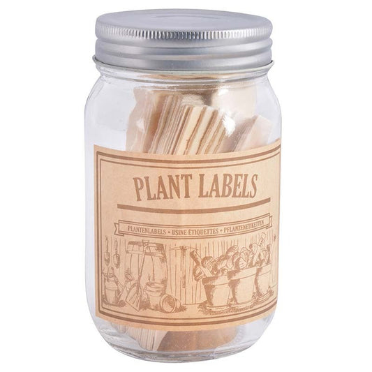 Étiquettes de plantes en bois dans un bocal