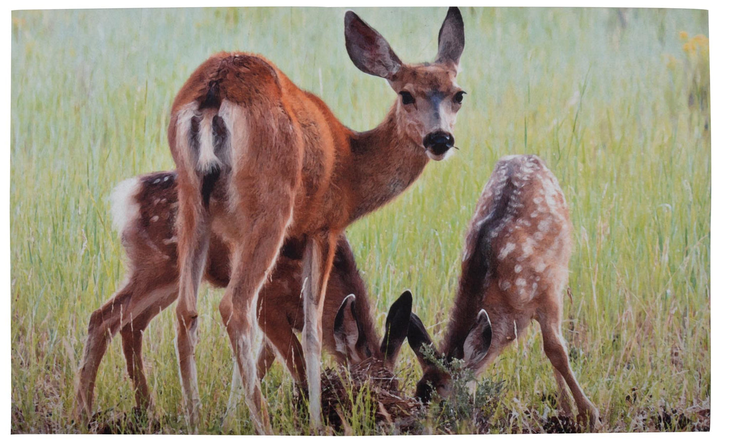 Paillasson cerfs. Recyclé, Dernière Chance