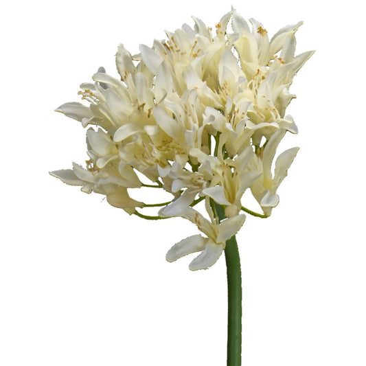 Artificial Agapanthus Stem White