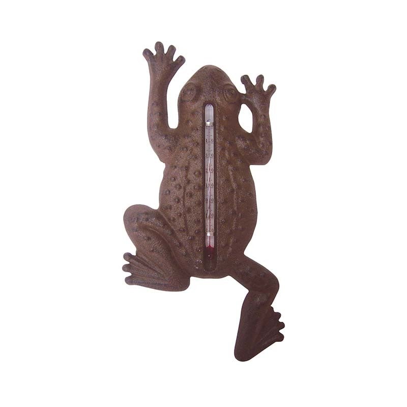 Frog Thermometer