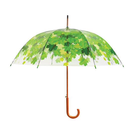 Arbre Parapluie