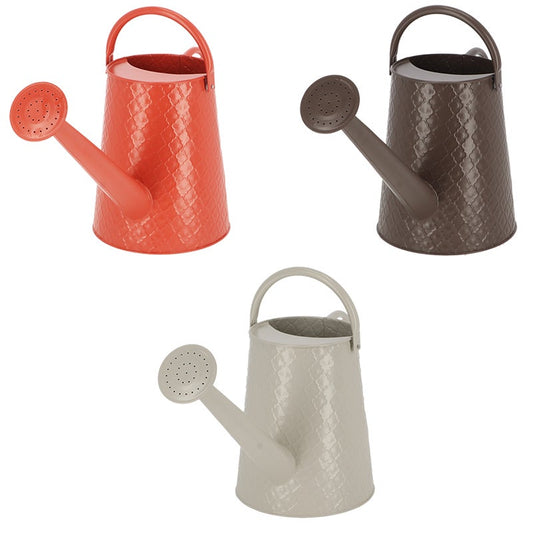 Watering Can Desert Dream L ~ Assorted