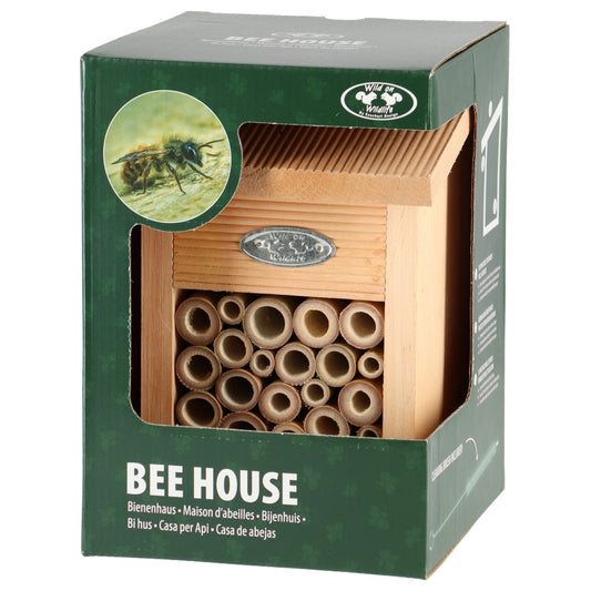 Maison des abeilles dans une boîte cadeau